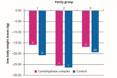 Hình 1: Hỗn hợp enzyme carbohydrase giảm lượng sụt cân ở tất cả các nhóm heo nái.