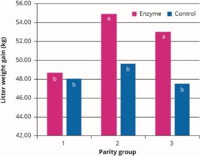 Hình 2: Hỗn hợp enzyme carbohydrates giúp tăng tăng trọng trung bình heo con ở tất cả các nhóm heo nái.
