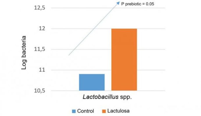 Hình 1: Chúng ta có thể sử dụng prebiotics đặc hiệu để tăng quần thể hệ vi sinh vật có lợi. Ví dụ lactoluse làm tăng lượng vi khuẩn lactobacillus spp.