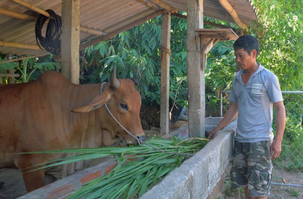 nuoi duong day du 608x400 1