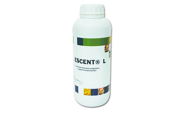 ESCENT L