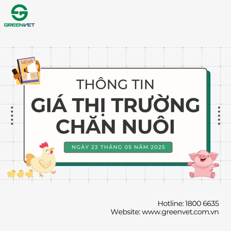 Giá heo hơi, gà, vịt, trứng ngày 23/05/2025