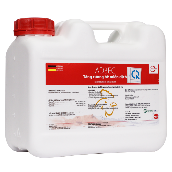 AD3EC - Hình ảnh 2