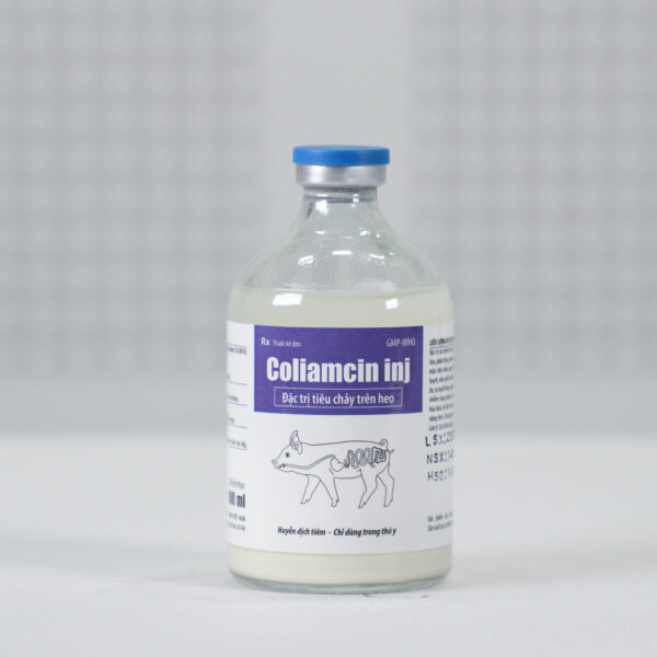 Coliamcin inj - Hình ảnh 3
