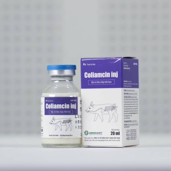 Coliamcin inj - Hình ảnh 2