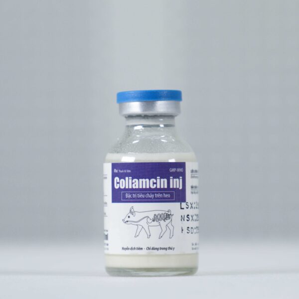 Coliamcin inj - Hình ảnh 4