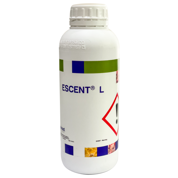 Escent L