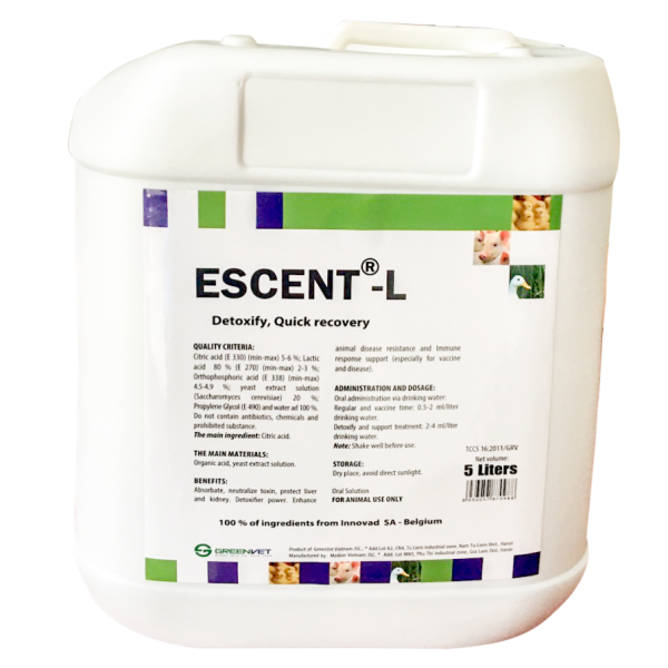 Escent L - Hình ảnh 2