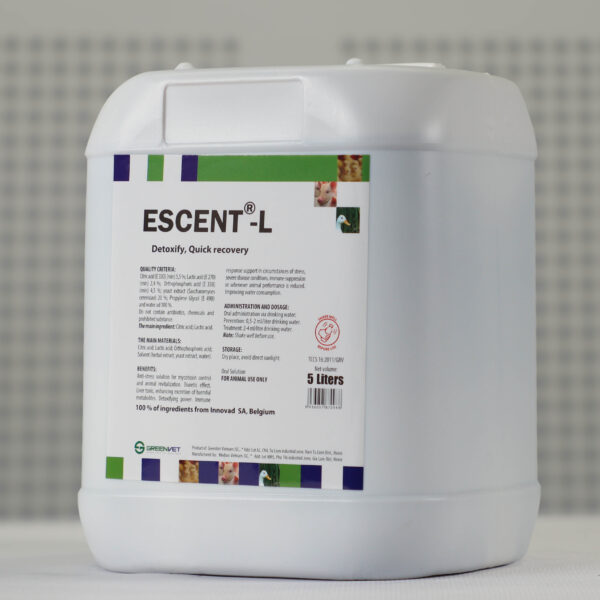 Escent L - Hình ảnh 3