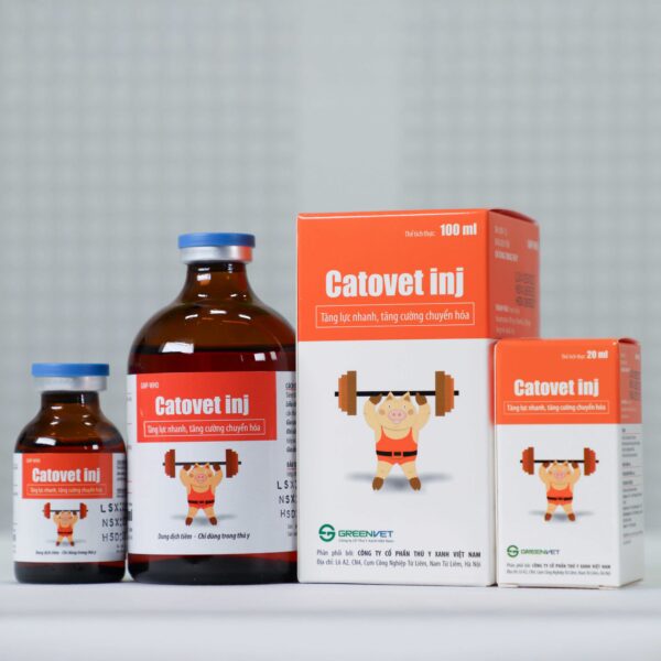 Catovet inj - Hình ảnh 2