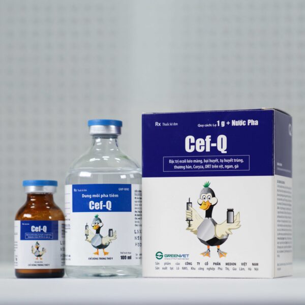 Cef Q - Hình ảnh 4