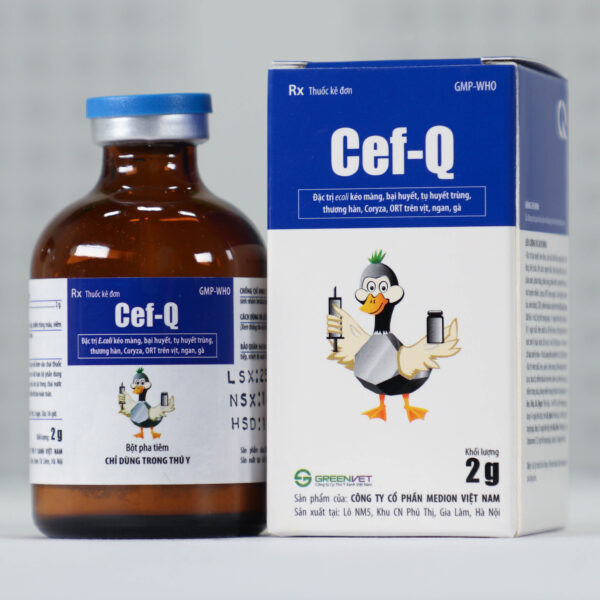 Cef Q