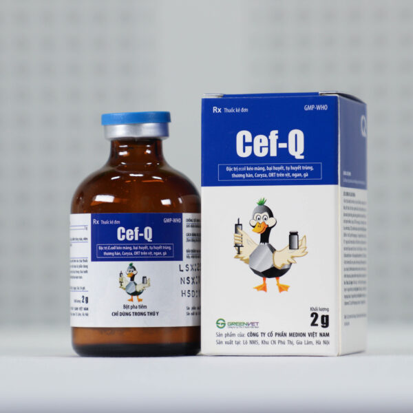 Cef Q