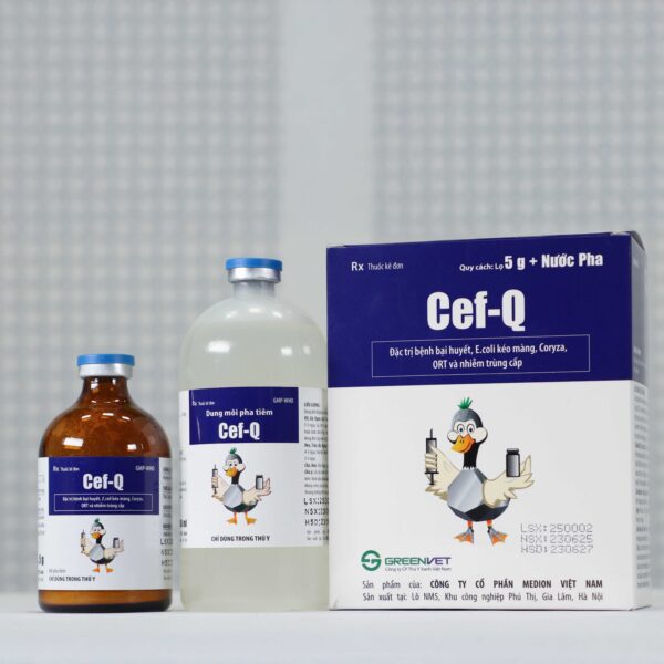 Cef Q - Hình ảnh 3