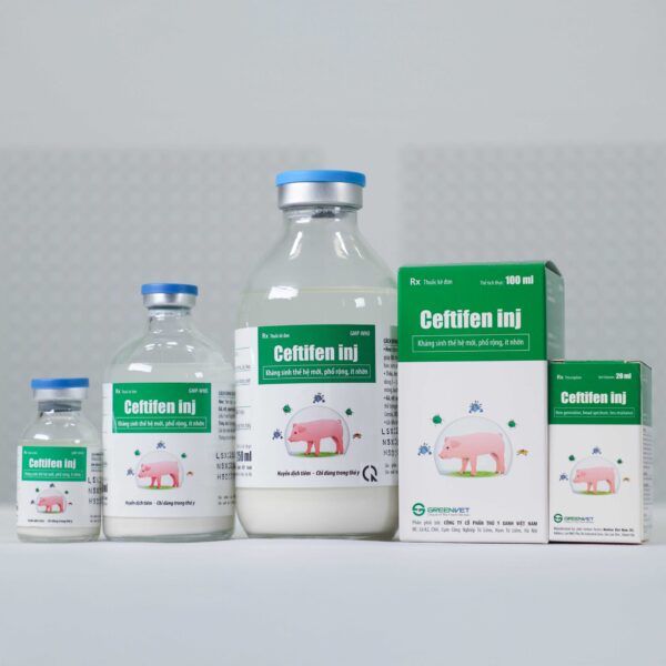 Ceftifen inj - Hình ảnh 2