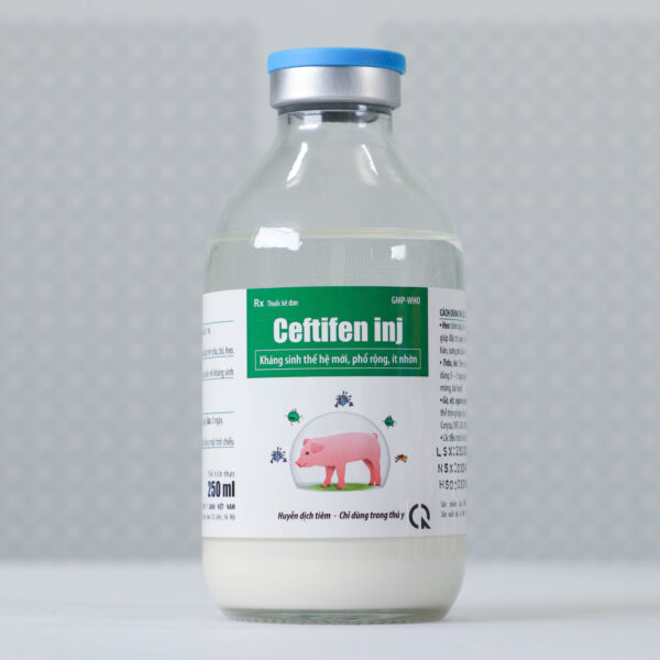 Ceftifen inj - Hình ảnh 3
