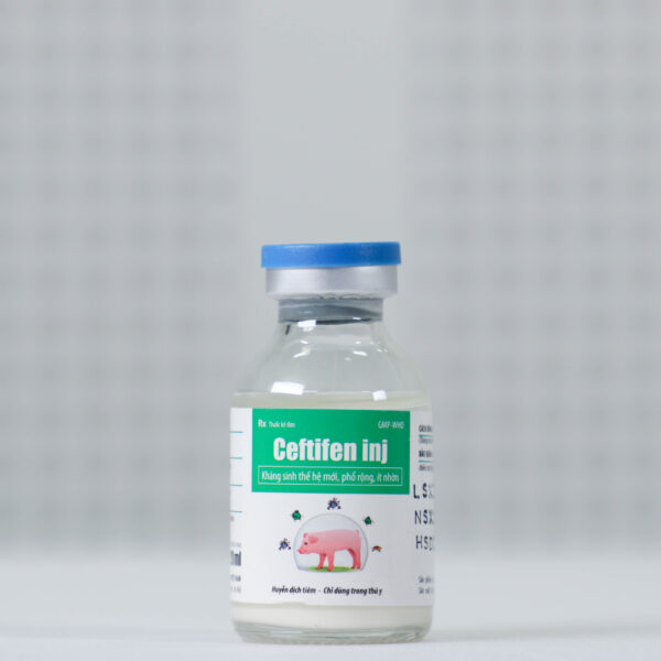 Ceftifen inj - Hình ảnh 4