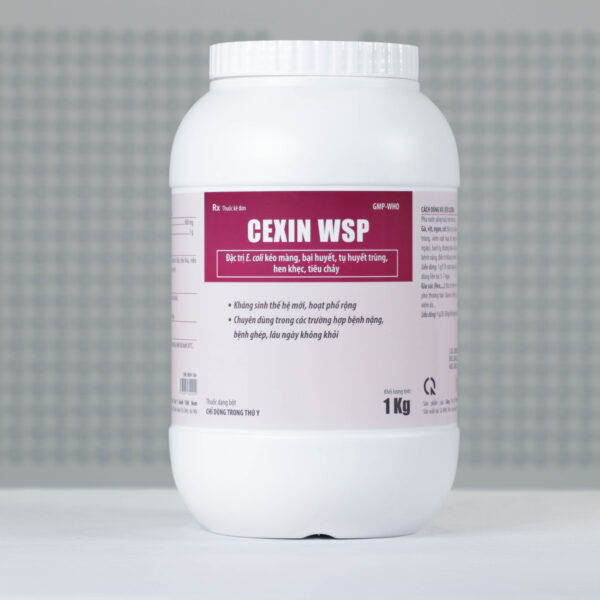 Cexin WSP