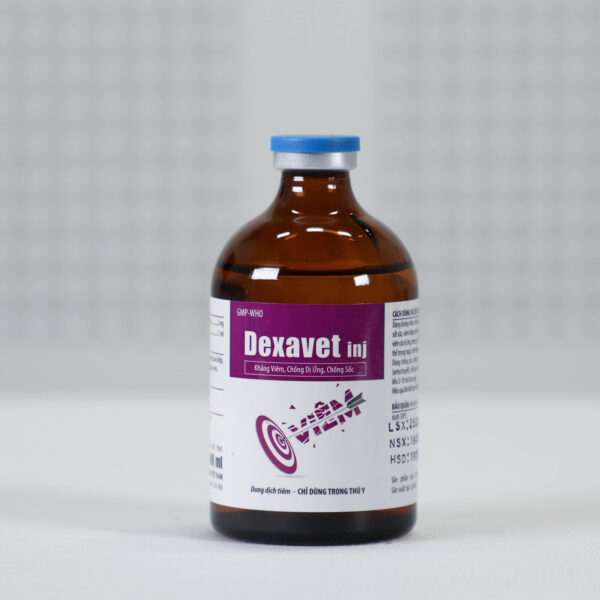 Dexavet inj - Hình ảnh 2
