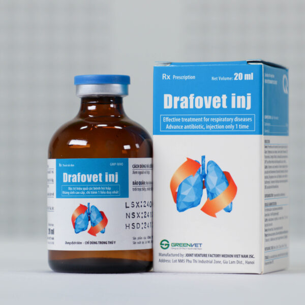 Drafovet