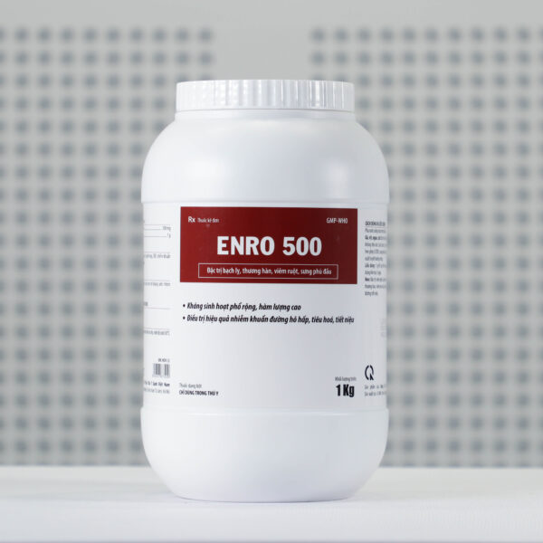 ENRO 500