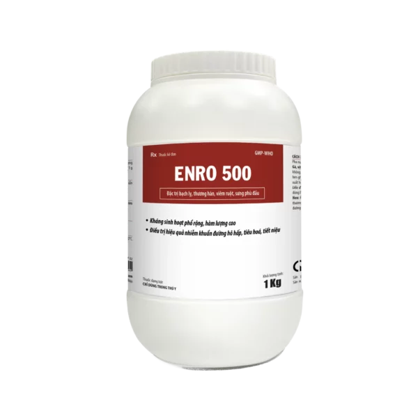 ENRO 500