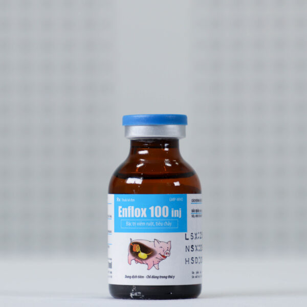 Enflox 100 inj - Hình ảnh 3