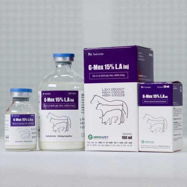 G-mox 15% LA inj - Hình ảnh 2