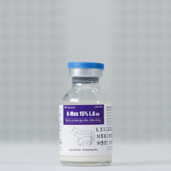 G-mox 15% LA inj - Hình ảnh 3