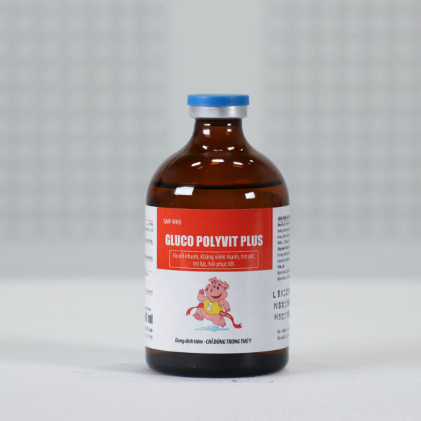 GLUCO POLYVIT PLUS - Hình ảnh 2