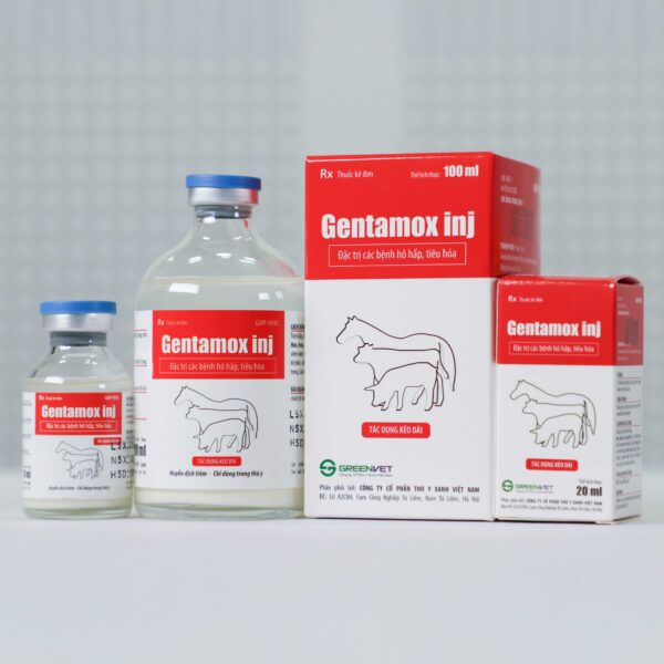 Gentamox inj - Hình ảnh 2