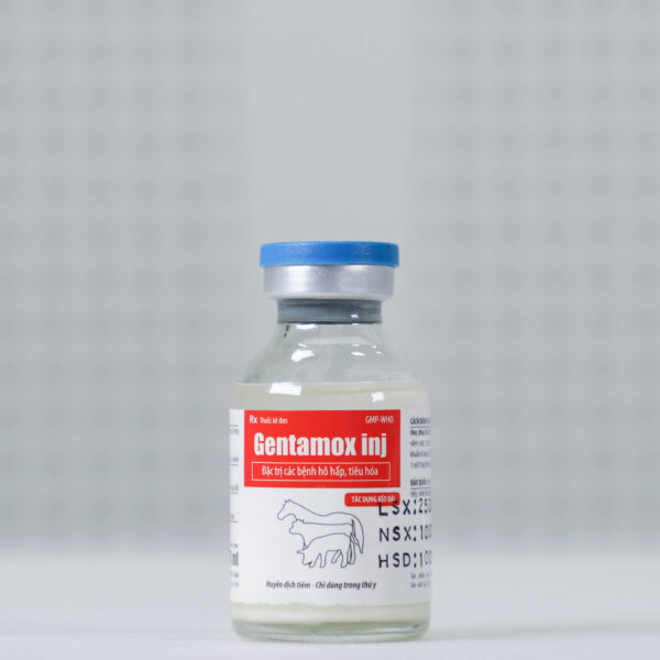 Gentamox inj - Hình ảnh 3