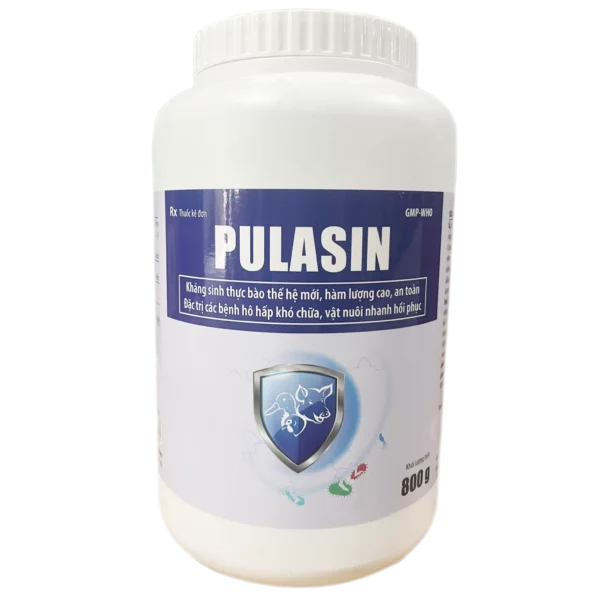 PULASIN