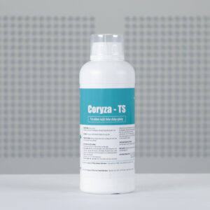 CORYZA TS