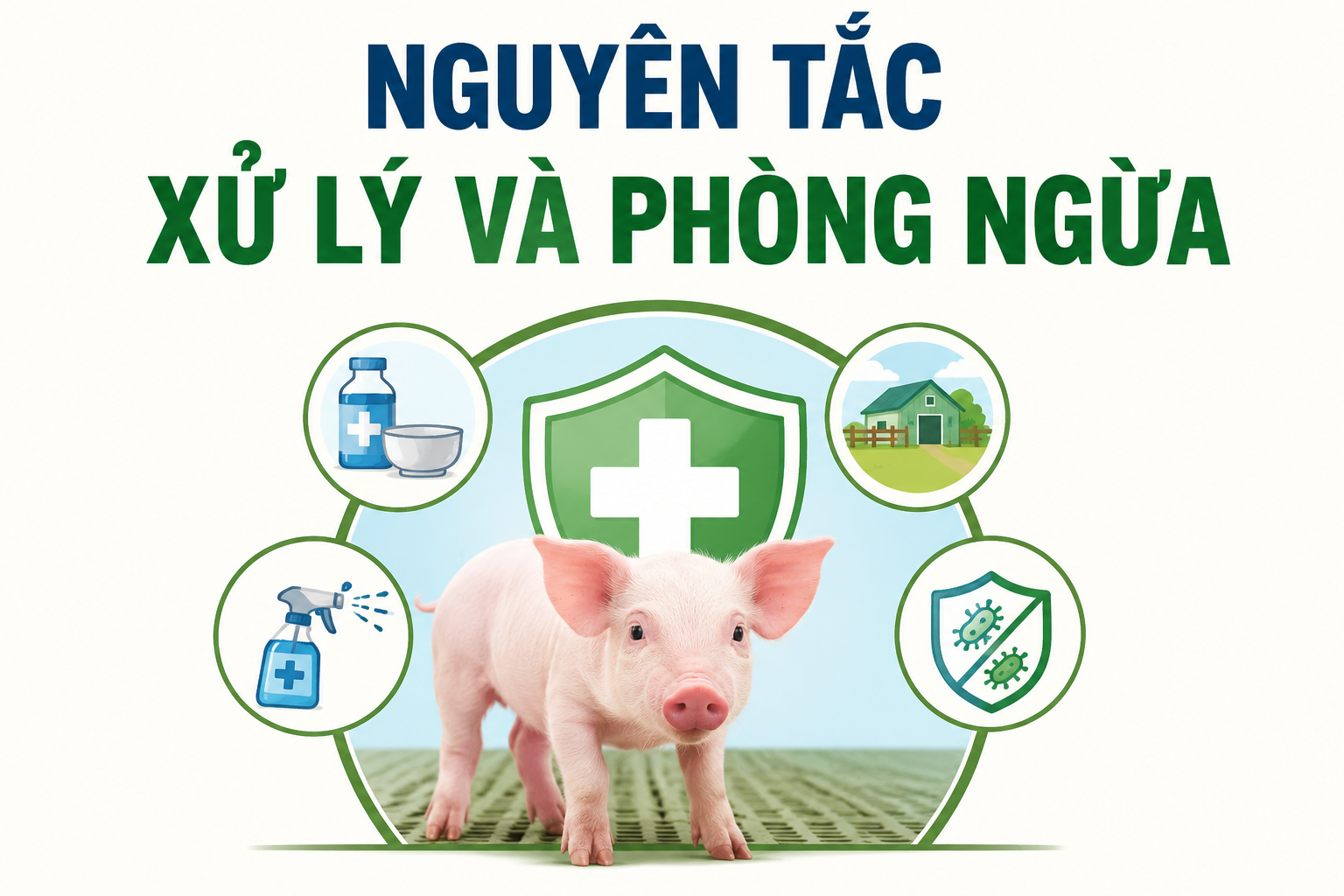 Các biện pháp phòng ngừa và xử lý bệnh tiêu chảy do E.coli ở lợn con