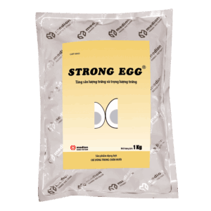 Strong egg